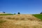 Lodged fields in lower Austria