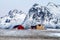 Lofoten islands, Norway. Typical houses of the fishermen rorbu, on the snowy beach, mountains in background.