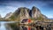 Lofoten Panorama View Village Reine Norway