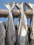 Lofoten stockfish drying