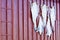 Lofoten - stockfish on the exterior wall