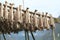 Lofoten style Stockfish, dried cod by cold air in wind on wooden racks