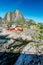 Lofoten Summer Landscape