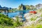 Lofoten Summer Landscape