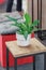 Loft style apartment. Indoor flower blooming spathiphyllum stands on a stool in the room