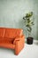 Loft style interior. Orange sofa and a large flower in the interior of the loft. Ficus lirata in the pot.