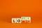 Lofty or lowly symbol. Concept words Lofty Lowly on wooden block. Beautiful orange table orange background. Business lofty or