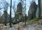 Lofty stones in forest