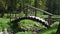 Log bridge over a small river in forest in summer. Beautiful forest with a pond.