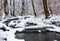 Log through a brook in snowy forest