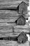 Log cabin beams and pockets II, black and white