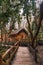 Log cabin in forest of native trees of patagonia