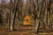 Log cabin in forest tierra del fuego patagonia argentina