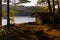 Log Cabin Lean to Shelter Campsite in the Adirondack Mountains During Near Peak Fall Leaf Foliage