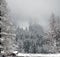 A log cabin lies hidden beneath the snow covered trees