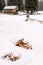 Log cabin with piles of fire wood in the snow