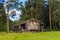 Log cabin in a pine forest on a summer day