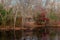 Log Cabin by Reflecting Pond