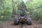 Log carrying tractor in an English forest.