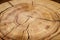 Log core against a wooden floor. Angle view. Closeup.Background series.