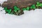 Log covering with snow and the first green leaves