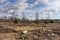 Log cutting ground in spring