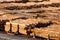 Log Ends Wood Rounds Cut Measured Tree Trunks Lumber Mill