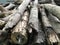 Log firewood stock pile