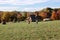 Log home children playing