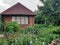 Log house in cottage flower garden