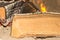 Log light beige dried on a campfire background coals burned macro picnic on the beach base design