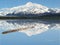 A Log in Peaceful Lake Beneath Mt. McKinley