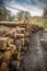 Log Pile on country track