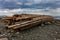 Log Pile at Low Tide on Sandpiper Beach