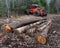 Log skidder and logs