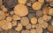 Log spilled trunk stacked row close-up wooden background design basis