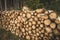 Log spruce trunks pile. Sawn trees from the forest. Logging timber wood industry. Cut trees along a road prepared for removal.