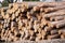 Log Stack. Timber Production, Transportation and Deliver