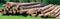 Log trunks pile, the logging timber forest wood industry. Wide banner or panorama heavy wood trunks