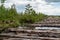 Log wood flooring on the bog