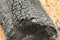 Log wooden large carbonized coal forest fire consequences disaster close-up