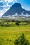 Logan Pass in Glacier National Park on a sunny day, portrait view