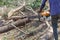 Logger Cut trees closeup detail work