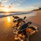 Loggerhead sea turtle hatchlings