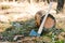 Logging: an ax with a long wooden handle stands near a fallen tree trunk