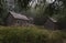 Logging cabin around Forest