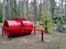 Logging Cabin Green leaves tall trees vegetation forest woods trunks branches