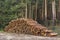 Logging, deforestation of the planet. stacked logs