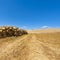 Logging on the fields in Italy