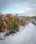 Logging piles on a snow covered road in Northumberland